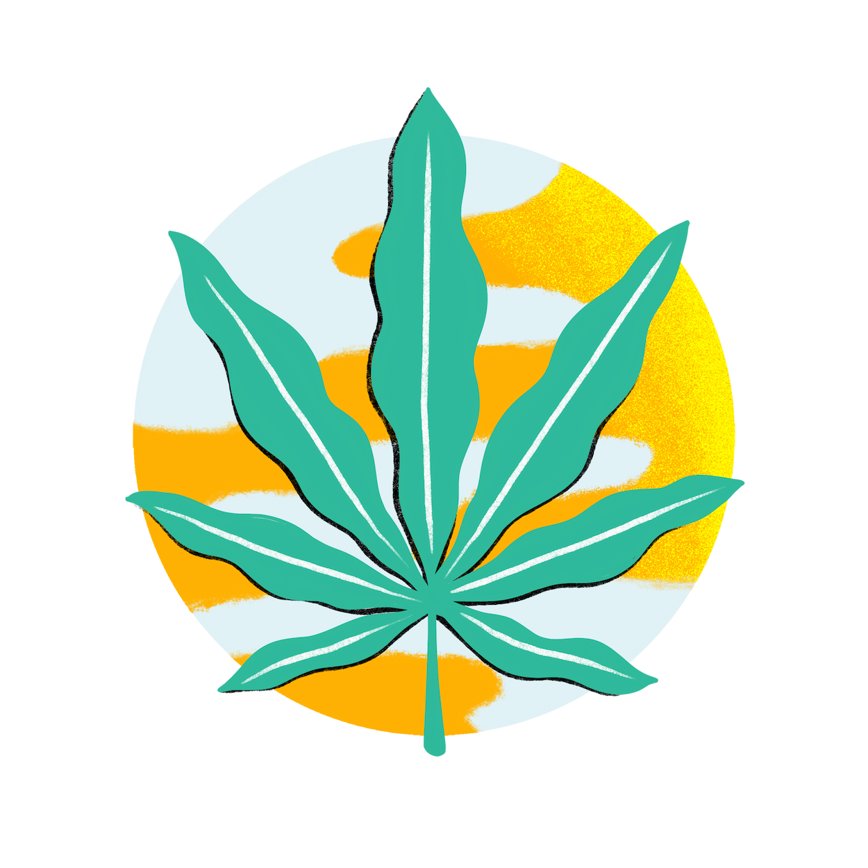 Le cannabis